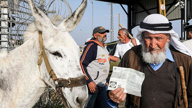 فلسطيني يقف بجانب حماره يُظهر مستنداته وهو ينتظر عند نقطة عبور 